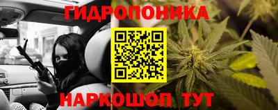 прущая мука Кимры